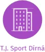 T.J. Sport Dírná, IČO: 02448831: vizualizace vztahů osob a společností