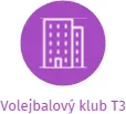 Volejbalový klub T3, IČO: 02451557: vizualizace vztahů osob a společností