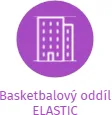 Basketbalový oddíl ELASTIC, IČO: 02458969: vizualizace vztahů osob a společností