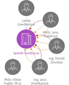 Spolek Sambucus, IČO: 02401843: vizualizace vztahů osob a společností