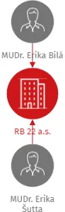 RB 22 a.s., IČO: 02861470: vizualizace vztahů osob a společností