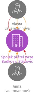 Spolek přátel tvrze Budkov u Střížovic, IČO: 03020461: vizualizace vztahů osob a společností
