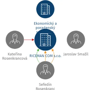 RICEMAN COM s.r.o., IČO: 03196143: vizualizace vztahů osob a společností