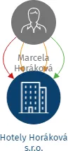 Hotely Horáková s.r.o., IČO: 03119254: vizualizace vztahů osob a společností