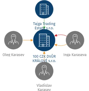 100 CZK DVŮR KRÁLOVÉ s.r.o., IČO: 03417221: vizualizace vztahů osob a společností
