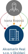 Akvamarín Real s.r.o. v likvidaci, IČO: 03446972: vizualizace vztahů osob a společností