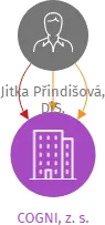 COGNI, z. s., IČO: 04096975: vizualizace vztahů osob a společností