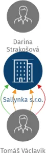 Sallynka s.r.o., IČO: 04050118: vizualizace vztahů osob a společností