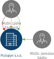 Pulsgyn s.r.o., IČO: 04264509: vizualizace vztahů osob a společností