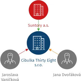 Vizualizace vztahů osob a společností - Cibulka Thirty Eight s.r.o.