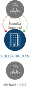 VIOLETA HKL s.r.o., IČO: 04949404: vizualizace vztahů osob a společností