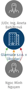 Glamsale s.r.o. v likvidaci, IČO: 06029710: vizualizace vztahů osob a společností