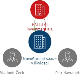 NovoGurmet s.r.o. - v likvidaci, IČO: 06169601: vizualizace vztahů osob a společností
