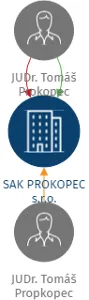 Vizualizace vztahů osob a společností - SAK PROKOPEC s.r.o.