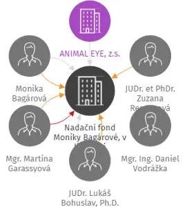 Nadační fond Moniky Bagárové, v likvidaci, IČO: 06247237: vizualizace vztahů osob a společností