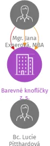 Barevné knoflíčky z. s., IČO: 06243401: vizualizace vztahů osob a společností
