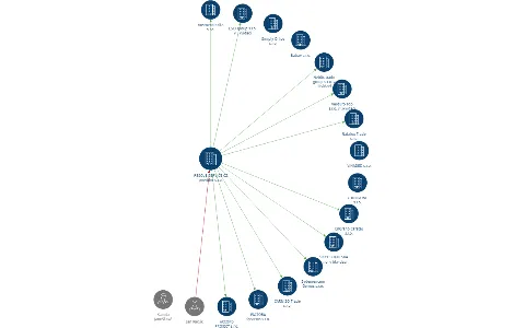 RESCUE SERVICE CZ provider s.r.o., IČO: 06500935: vizualizace vztahů osob a společností