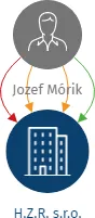 Vizualizace vztahů osob a společností - H.Z.R. s.r.o.
