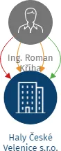 Haly České Velenice s.r.o., IČO: 06712142: vizualizace vztahů osob a společností