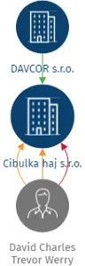 Vizualizace vztahů osob a společností - Cibulka haj s.r.o.