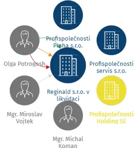 Reginald s.r.o. v likvidaci, IČO: 07155492: vizualizace vztahů osob a společností