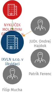 IXVLN s.r.o. v likvidaci, IČO: 07180641: vizualizace vztahů osob a společností