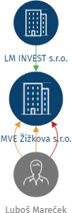 MVE Žižkova s.r.o., IČO: 07319126: vizualizace vztahů osob a společností