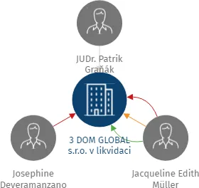 3 DOM GLOBAL s.r.o. v likvidaci, IČO: 07491204: vizualizace vztahů osob a společností
