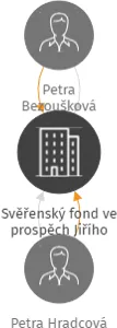 Svěřenský fond ve prospěch Jiřího 810328, IČO: 07679416: vizualizace vztahů osob a společností