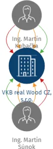VKB real Wood CZ, s.r.o., IČO: 07672641: vizualizace vztahů osob a společností