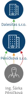 Pěničková s.r.o., IČO: 07739877: vizualizace vztahů osob a společností