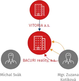 BACURI reality, a.s., IČO: 07743882: vizualizace vztahů osob a společností