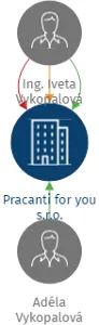 Pracanti for you s.r.o., IČO: 07814623: vizualizace vztahů osob a společností