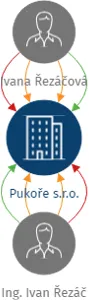 Pukoře s.r.o., IČO: 08084807: vizualizace vztahů osob a společností