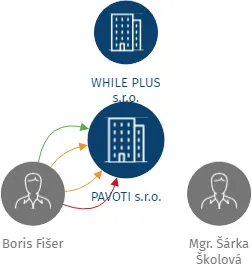 PAVOTI s.r.o., IČO: 08241571: vizualizace vztahů osob a společností