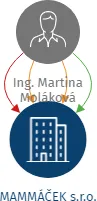 MAMMÁČEK s.r.o., IČO: 08336555: vizualizace vztahů osob a společností