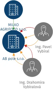 AB pole s.r.o., IČO: 08425132: vizualizace vztahů osob a společností