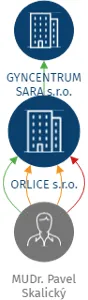 ORLICE s.r.o., IČO: 08728208: vizualizace vztahů osob a společností
