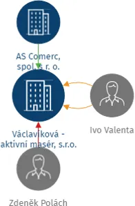Václavíková - aktivní masér, s.r.o., IČO: 08733431: vizualizace vztahů osob a společností