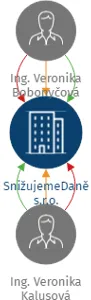 SnižujemeDaně s.r.o., IČO: 08731306: vizualizace vztahů osob a společností