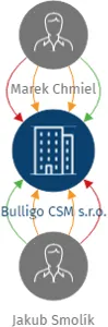 Vizualizace vztahů osob a společností - Bulligo CSM s.r.o.