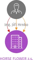 HORSE FLOWER z.s., IČO: 09876391: vizualizace vztahů osob a společností