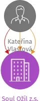 Vizualizace vztahů osob a společností - Soul Ožil z.s.
