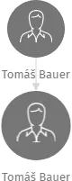 Tomáš Bauer, IČO: 11391472: vizualizace vztahů osob a společností