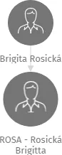 Vizualizace vztahů osob a společností - ROSA - Rosická Brigitta