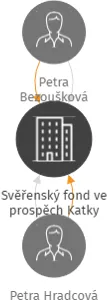 Svěřenský fond ve prospěch Katky Rybky, IČO: 11667443: vizualizace vztahů osob a společností