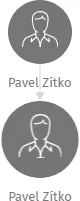 Pavel Zítko, IČO: 12523224: vizualizace vztahů osob a společností