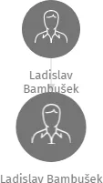 Ladislav Bambušek, IČO: 12788554: vizualizace vztahů osob a společností