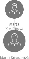 Marta Kosnarová, IČO: 12844420: vizualizace vztahů osob a společností
