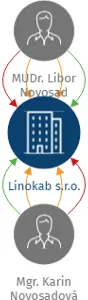 Vizualizace vztahů osob a společností - Linokab s.r.o.